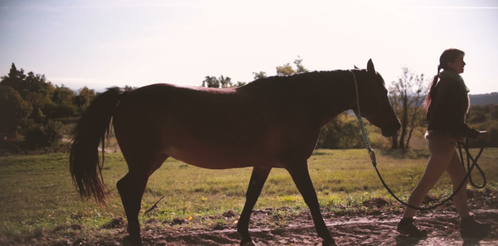 Une formation avec les chevaux